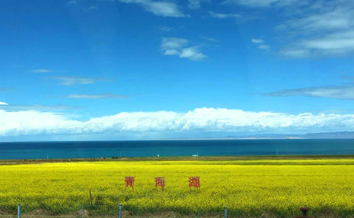 【玩转西北】塔尔寺、青海湖、茶卡盐湖、翡翠湖、西台吉乃尔湖、嘉峪关、莫高窟、 张掖七彩丹霞、2飞8日